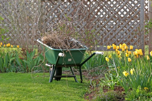 Flower Bed Cleanup Service in Rogers