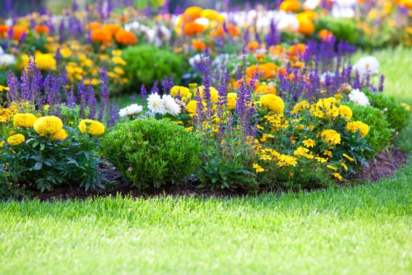 Flower Bed Maintenance in Rogers