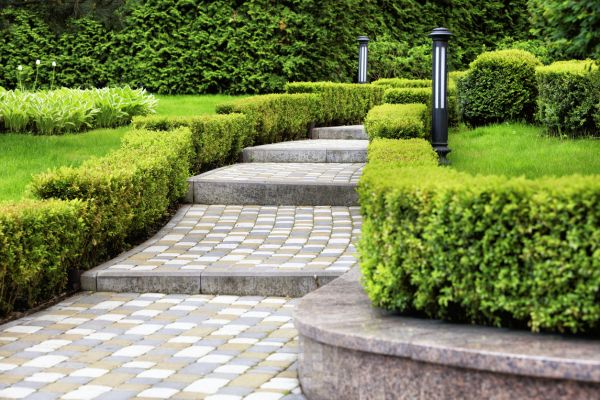 Backyard Remodeling in Rogers
