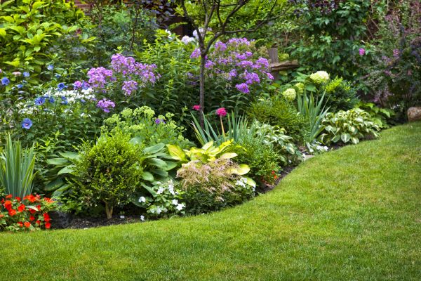 Flower Bed Service in Rogers
