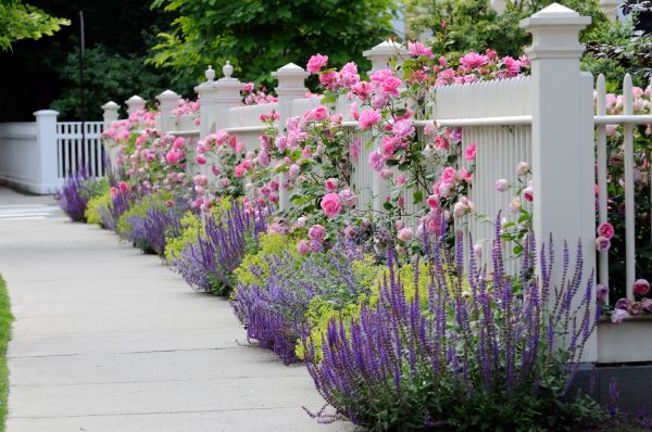 Garden Handyman Service in Rogers
