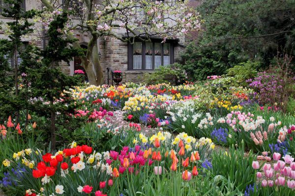 Garden Maintenance Service in Rogers