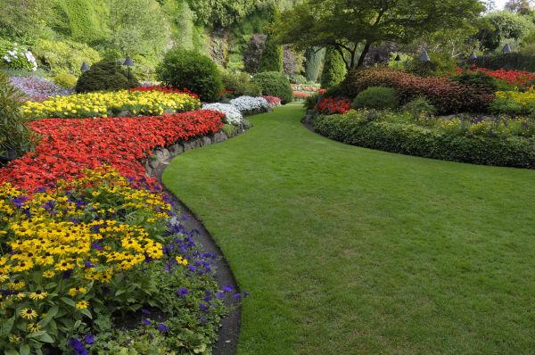 Landscaping Maintenance in Rogers