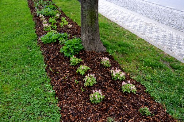 Mulch Replacement Service in Rogers
