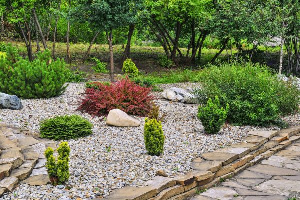 Rock Landscaping in Rogers