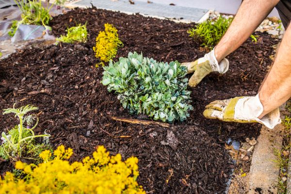Weeding And Mulching in Rogers