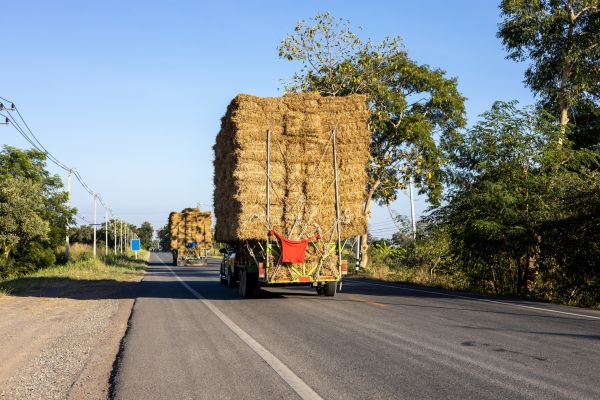 Pine Straw Delivery in Rogers