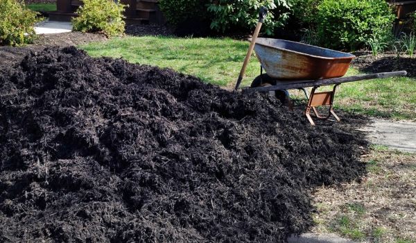 Black Mulch Delivery in Rogers