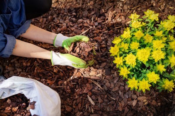 Garden Mulching in Rogers