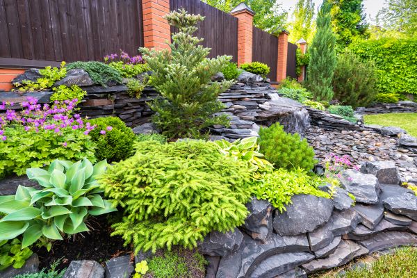 Landscape Remodeling in Rogers