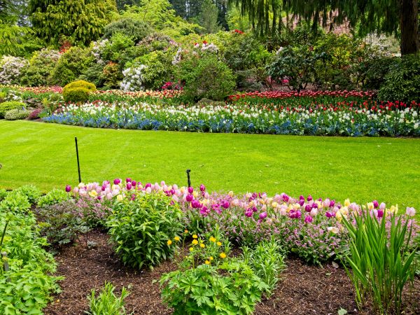 Residential Landscape Design in Rogers