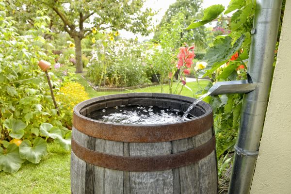 Conservation Landscaping Setup