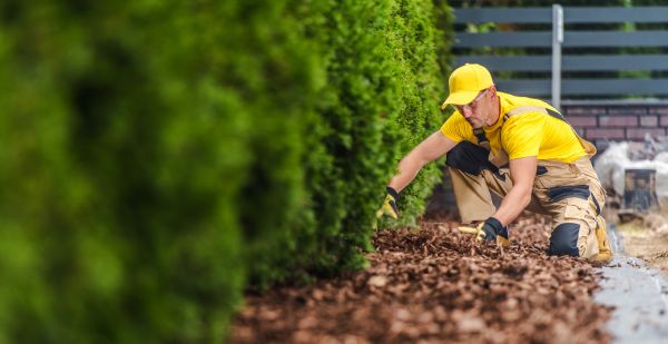 Cypress Mulch Installation in Rogers