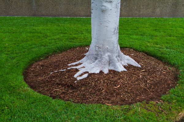 Brown Mulch Installation in Rogers