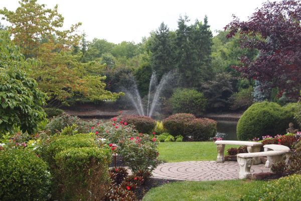 Courtyard Design Service in Rogers