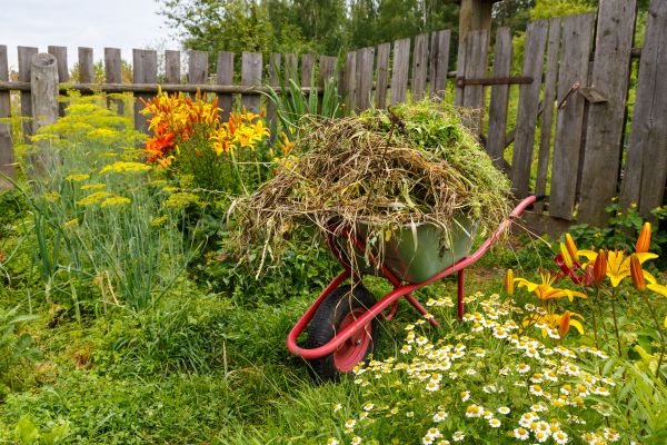 Garden Cleanup Service in Rogers