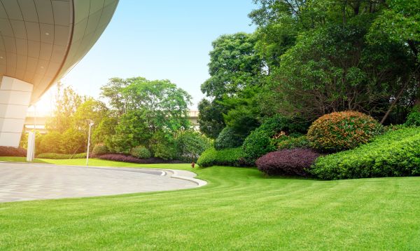 Business Landscape Design