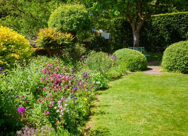 Yard Landscaping Service in Rogers