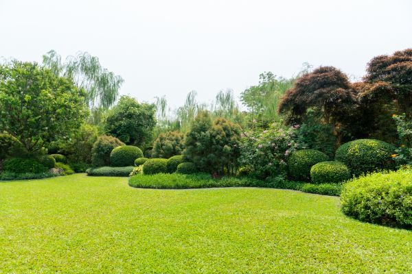Tree Landscaping in Rogers