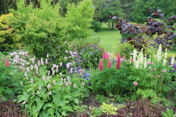 Flower Bed Planting in Rogers