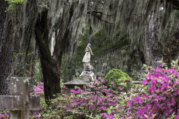 Cemetery Landscaping Service