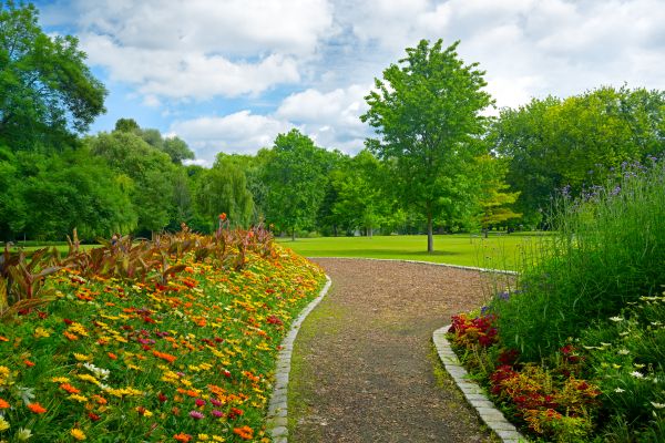 Park Landscaping