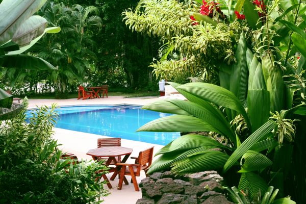 Pool Area Landscaping Service