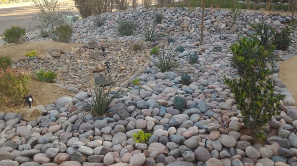 Yard Xeriscaping in Rogers