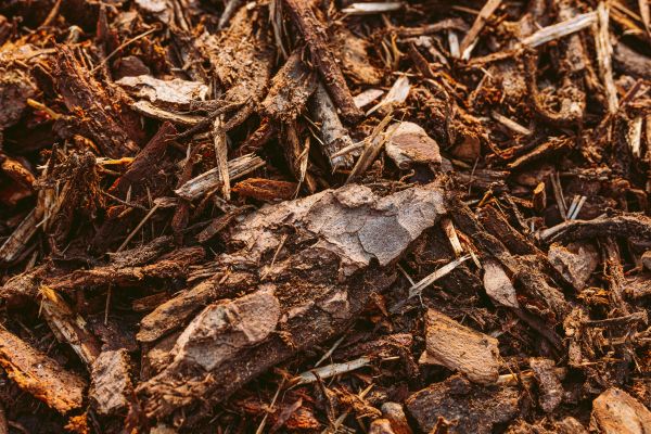 Bark Mulch Delivery in Rogers