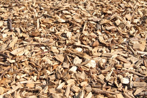 Wood Mulch Delivery in Rogers