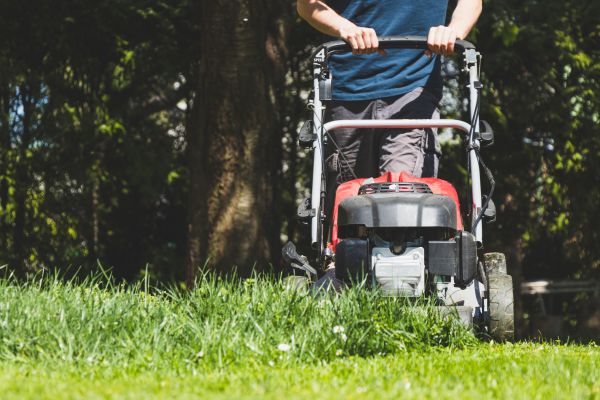 Garden Trimming Service in Rogers