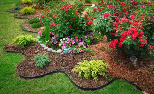 Floral Landscaping in Rogers