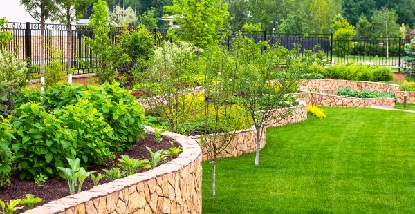Yard Makeover Service in Rogers