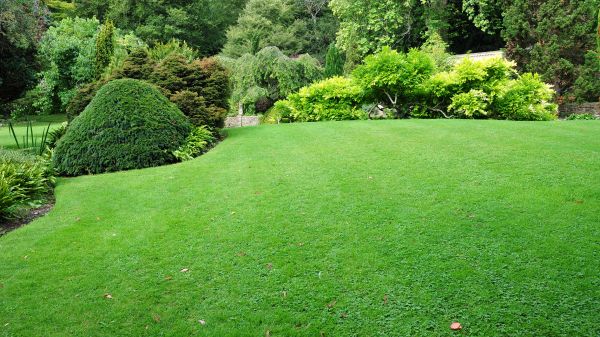Commercial Landscape Design