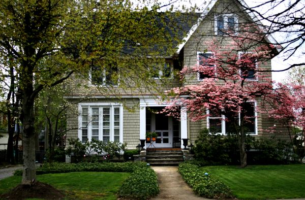 Ornamental Tree Planting in Rogers