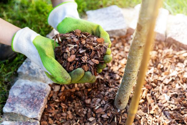 Tree Bark Delivery in Rogers