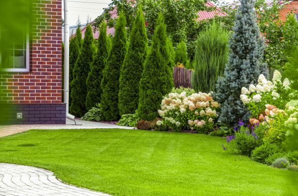 Spring Landscaping in Rogers