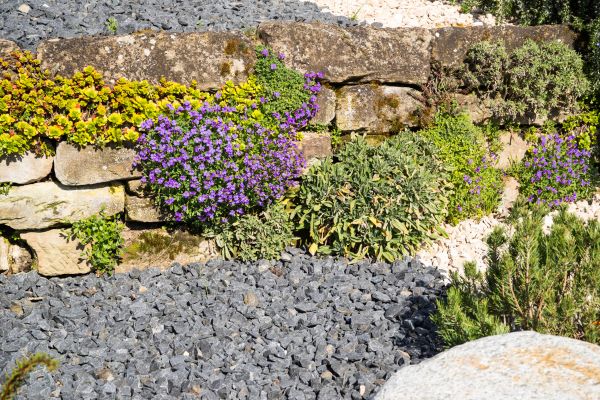 Landscaping Rocks Installation in Rogers