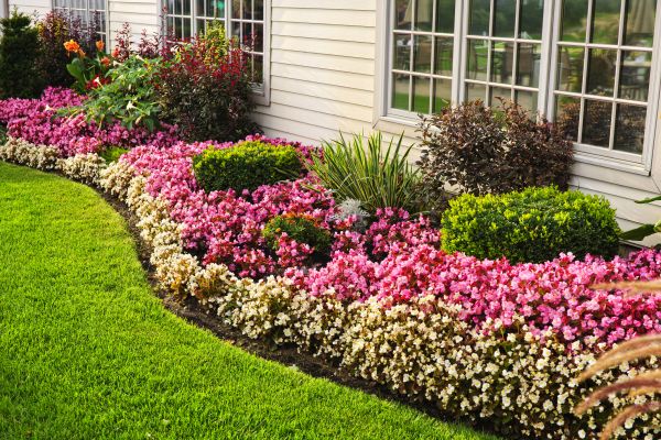 Garden Landscape Design in Rogers