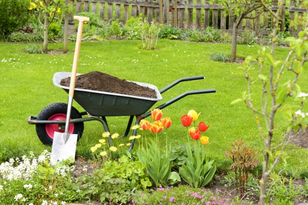 Spring Yard Renovation in Rogers