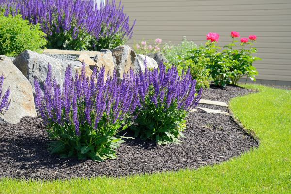 Landscape Planting Service in Rogers