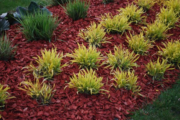 Red Mulch Installation in Rogers