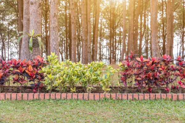 Small Garden Landscaping in Rogers