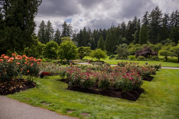 Flower Garden Landscaping in Rogers