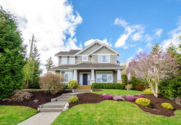 Landscaping Replacement in Rogers