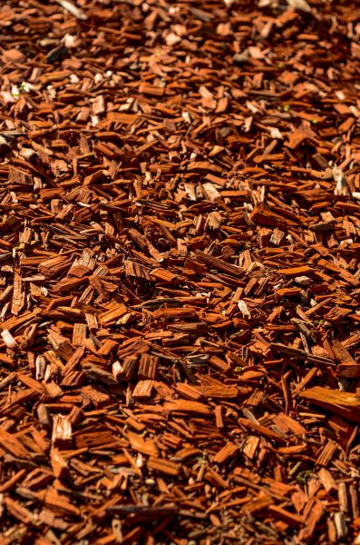 Cedar Mulch Spreading in Rogers