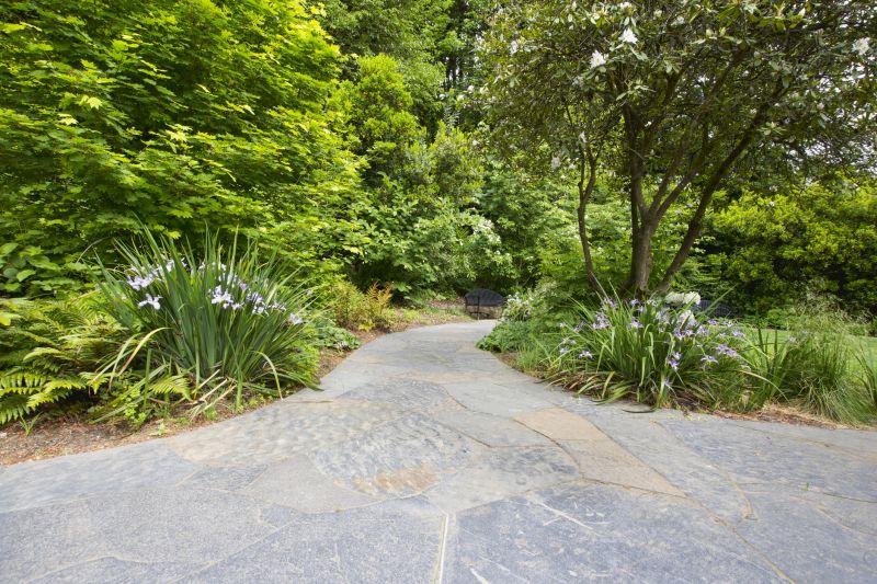 Stone Pathways and Hardscapes