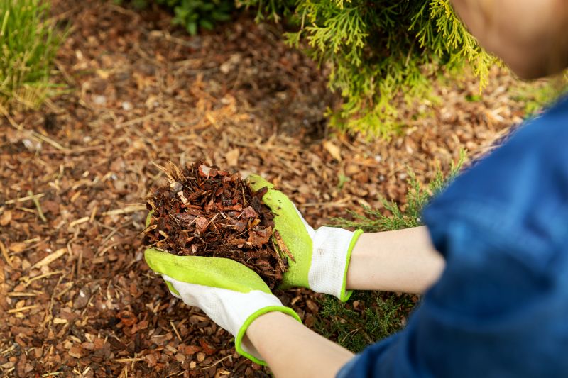 Pine Bark Spreading